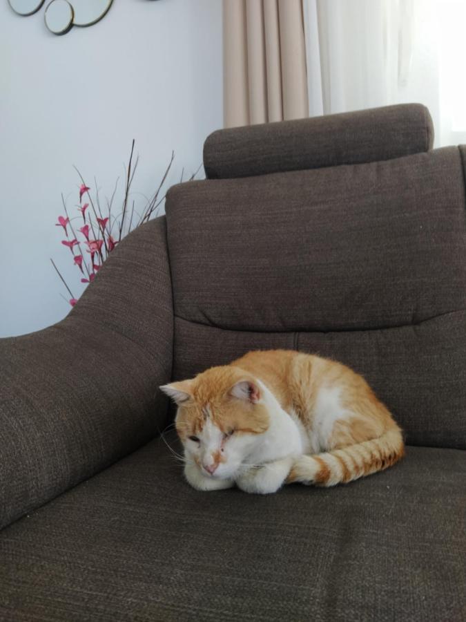 Apartment Juric Trogir Luaran gambar